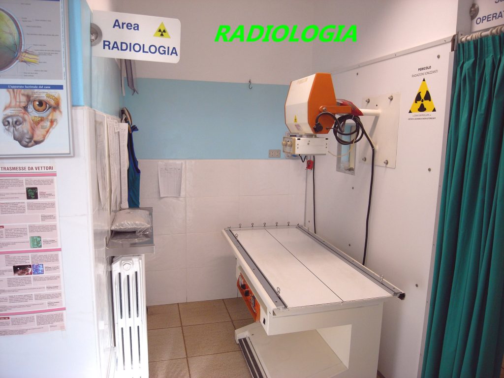 area radiologia
