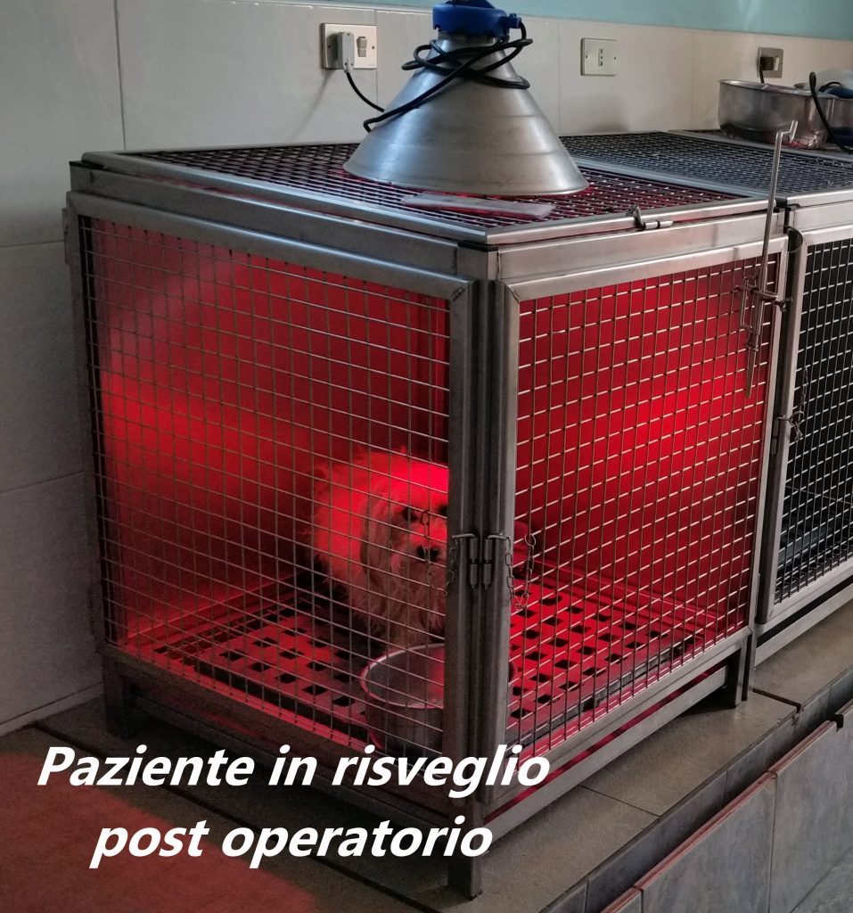 Paziente in risveglio post operatorio